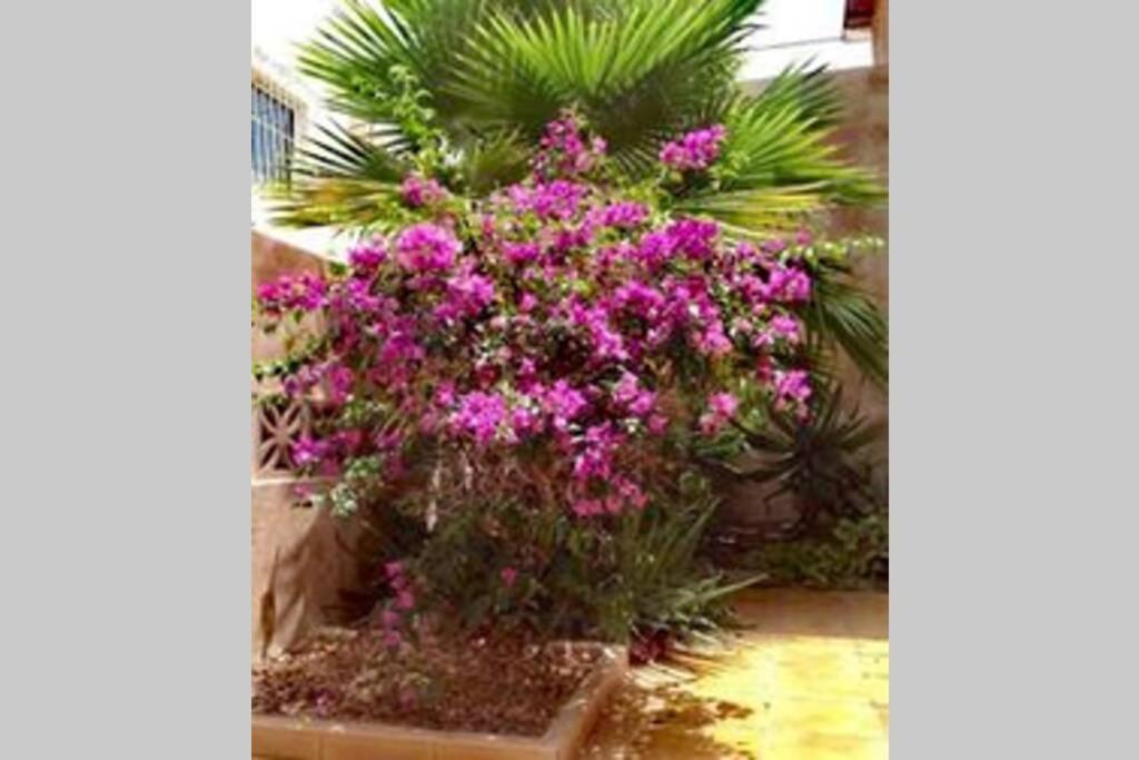 Semi-Detached Villa Sea Views, Huge Terrace, Close Beach Palm-mar Exterior foto